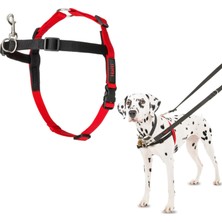 Starseven Company Of Animals Halti Köpekler Için Önden Kontrollü Göğüs Tasması, Orta Boy