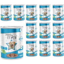 Starseven Prostar Yetişkin Balıklı Pate 400 Yaş Mama gr x 12 Adet
