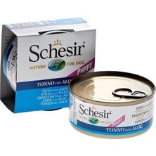 Starseven Schesir Jöle Içinde Ton Balıklı Aloe Veralı Yavru Konservesi 150GR