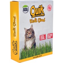 Starseven Quik Topraklı Çimi