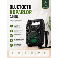 Twin Store Yeni Nesil 6.5 Inç Hoparlör Mikrofonlu Taşınabilir Ses Sistemi