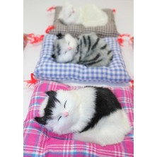 Uravas Store Yastıkta Uyuyan Kedi Sesli ALK24