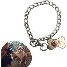 Uravas Store 65 cm Uzunlukta Zincir Model Köpek Için Boyun Tasması (5047)