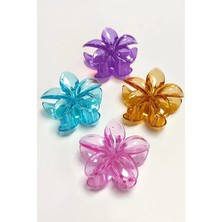 Renas Store Lotus Toka 8 cm