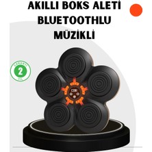 Renas Store Evde Fitness Için Akıllı Boks Makinesi Işıklı Vuruş Noktalı Bluetoothlu
