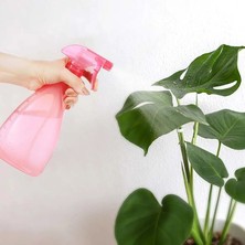 Renas Store 2 Sprey Modlu Mutfak Banyo  Bakımı Için Çok Amaçlı Spreyli Şişe 700 ml