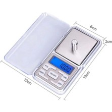 Renas Store Çelik Gövdeli Gümüş Renk Dijital Hassas Cep Terazi 0,1 gr 500 gr LCD Ekranlı - 2 Yıl Garanti Süresi