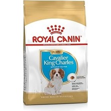 Renas Store Royal Canin Cavalier King Charles Kuru Köpek Maması, Yavru Köpek, 1.5 kg