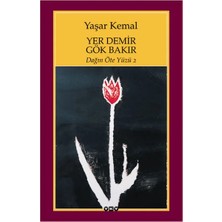 Renas Store Yer Demir Gök Bakır - Dağın Öte Yüzü 2
