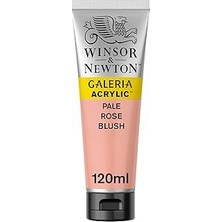 Renas Store Winsor &amp; Newton Galeria Akrilik Boya, 120ML, Flesh Tint 257