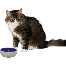Renas Store Spot Ethical 5 Inç Kedi Veya Sürüngen Seramik Tabak