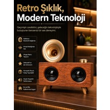 Renas Store Gramafon Nostaljik Radyo Yüksek Ses Kalitesi USB Tf Kart Aux