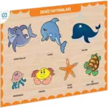 Renas Store Ahşap Deniz Hayvanları Eğitici Set
