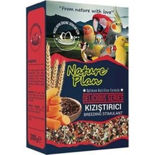 Renas Store Delicious Serisi Kızıştırıcı 200 gr