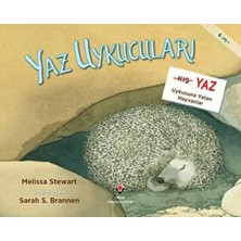 Renas Store Yaz Uykucuları Yaz Uykusuna Yatan Hayvanlar