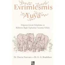 Renas Store Evrimleşmiş Yuva