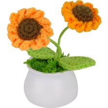 Renas Store Fl-3 12Lİ Kroşe Örgü Ayçiçeği
