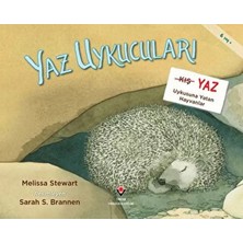 Renas Store Yaz Uykucuları Yaz Uykusuna Yatan Hayvanlar
