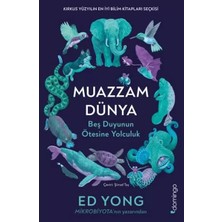 Renas Store Muazzam Dünya: Beş Duyunun Ötesine Yolculuk