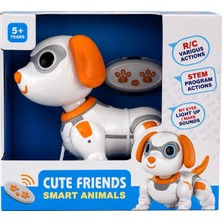 Renas Store Mey Ithalat® 8324B Uzaktan Kumandalı Robot