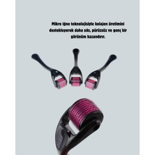 Renas Store 540 Iğneli Titanyum Dermaroller Profesyonel Ev Tipi Cilt Yenileme Aparatı