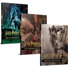 Renas Store Harry Potter Film Dehlizi Serisi 3  Takım ( Karton Kapak)