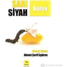 MarkEntegra Bursa'nın Sarı Siyah Renkleri, Kültürel Bir Anlatım