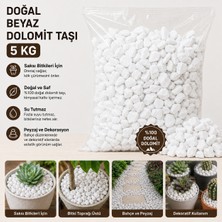 Doğal Beyaz Dolomit Taşı 5 kg