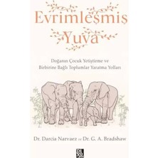 Renas Store Evrimleşmiş Yuva