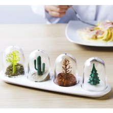 Renas Store Seasoning Shakers Dört Mevsim Baharatlık