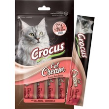 Renas Store Somonlu Kedi Krema Kedi Ödülü 4X15GR