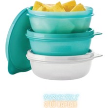 Tupperware Pırıltılı Saklama ve Servis Kabı 3 Lü Set 300 ml