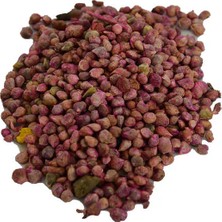 Renas Store Ispanak U (Zirai Ekim Için Ilaçlıdır) 100 gr Paket