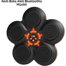 Astraltech Müzik Box Makinesi