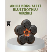 Renas Store Bluetoothlu Akıllı Boks Antrenman Cihazı Işıklı Hedefli Kardiyo ve Fitness Aleti