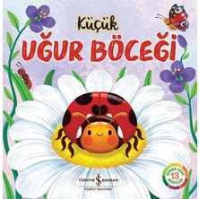 Renas Store Küçük Uğur Böceği - Doğanın Eşsiz Hikayeleri 13