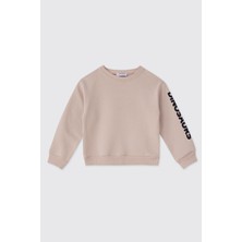 Panço Erkek Bebek Taş Sweatshirt