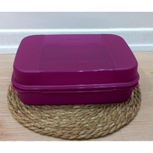 Tupperware Saklama Kutusu Büyük F20