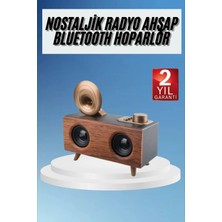TeknoKapsül Gramafon Radyo Bluetooth Hoparlör Nostaljik Radyo Fm Radyo