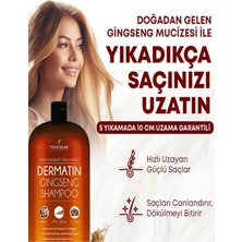 TeknoKapsül Policlear Dermatin Gingseng Şampuan x 3 Adet