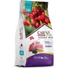 Carni Life Kızılcık Kuzu Etli ve Böğürtlenli Mini Irk Yavru Köpek Maması 2.5 kg