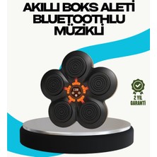 Renas Store Ev Tipi Akıllı Boks Duvar Paneli Müzikli Bluetoothlu Refleks Geliştirme Cihazı