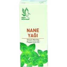 TeknoKapsül Nane Yağı 20 cc - Oleum Mentha Peppermint Oil