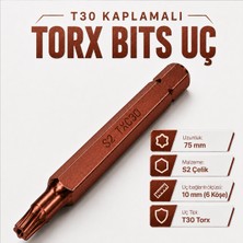 Rico T30 Torx Mıknatıslı Uzun Bits Uç 75 mm 10 mm Altıgen S2 Çelik Kaplama Matkap Tornavida Vidalama Ucu