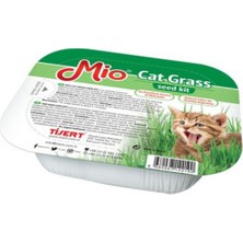 Balance Life Kedi Çimi
