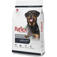 Akıllı Bayi Kuzu Etli Pirinçli Yetişkin Köpek Maması 15 kg