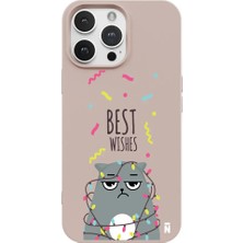 Casen iPhone 11 Pro Max Pudra Lansman Renkli Silikon Best Wishes Kedi Tasarımlı Kılıf