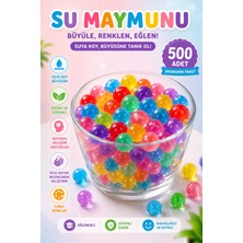 MİNGODAN Renkli Jel Beyincikler Su Maymunu Akvaryum Süsü Suda Büyüyen Su Topu Kristal Toplar (500 Adet)