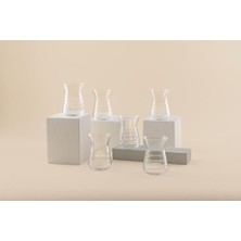 Bg Store Classy 6'lı Çay Bardağı