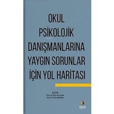 Bg Store Okul Psikolojik Danışmanlarına Yaygın Sorunlar Için Yol Haritası